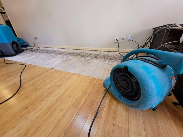 Professional Burst Pipe Water Damage technician working in Winston, OR